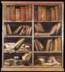bookshelveszins
