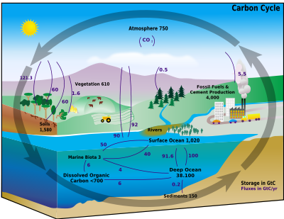 [carboncyclewiki]