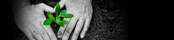 0615MarquetteGlobalEcology.jpg