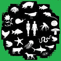 10.16.SACRAMENTAL.ECOLOGY.jpg