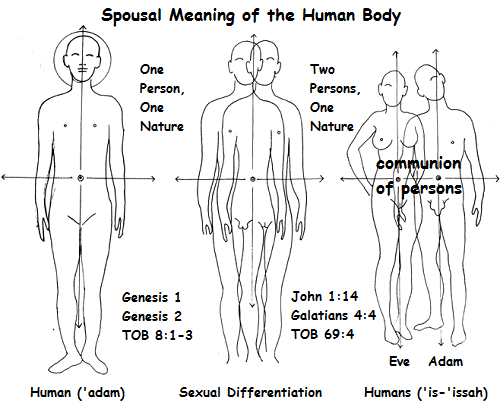 1014TOBSpousalMeaning.png