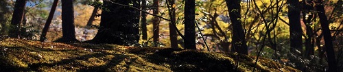 22.09.Page18.Tverberg.jpg
