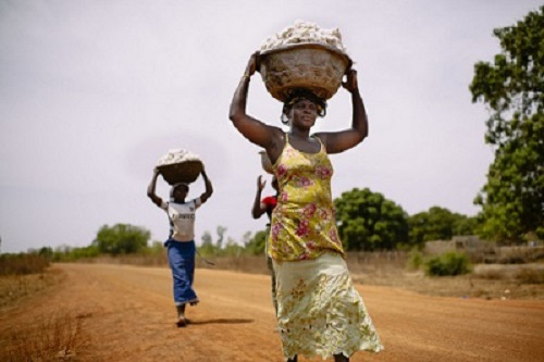 CGIAR.CIFOR.2.jpg