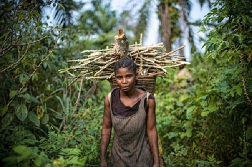 CGIAR.CIFOR.3.jpg