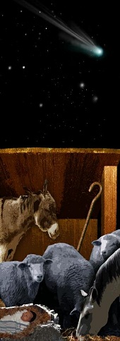 JulieRodriguezManger170x483.jpg