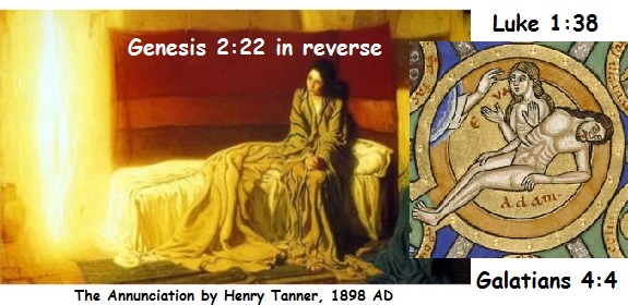 MERCY-004B.2.jpg