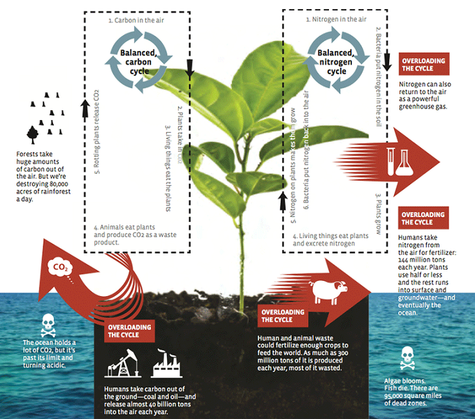 YesMag012013Fig1.png