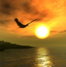 birdsunset132.jpg