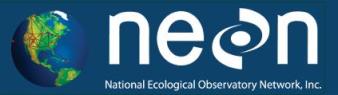 nsfneonlogo